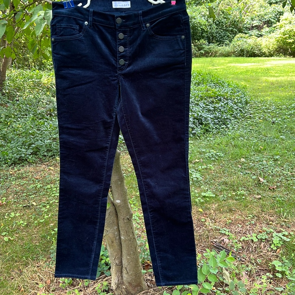 Loft skinny pants, navy blue velvet